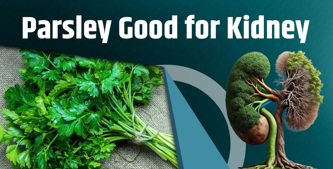 Is Parsley Good for Kidney?